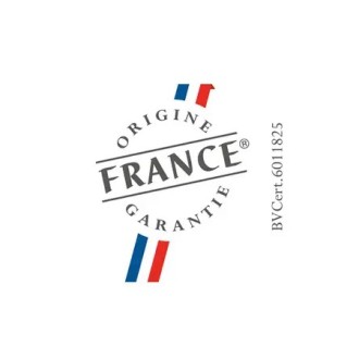 TABLE DE CUISSON INDUCTION SAUTER SPI3642B